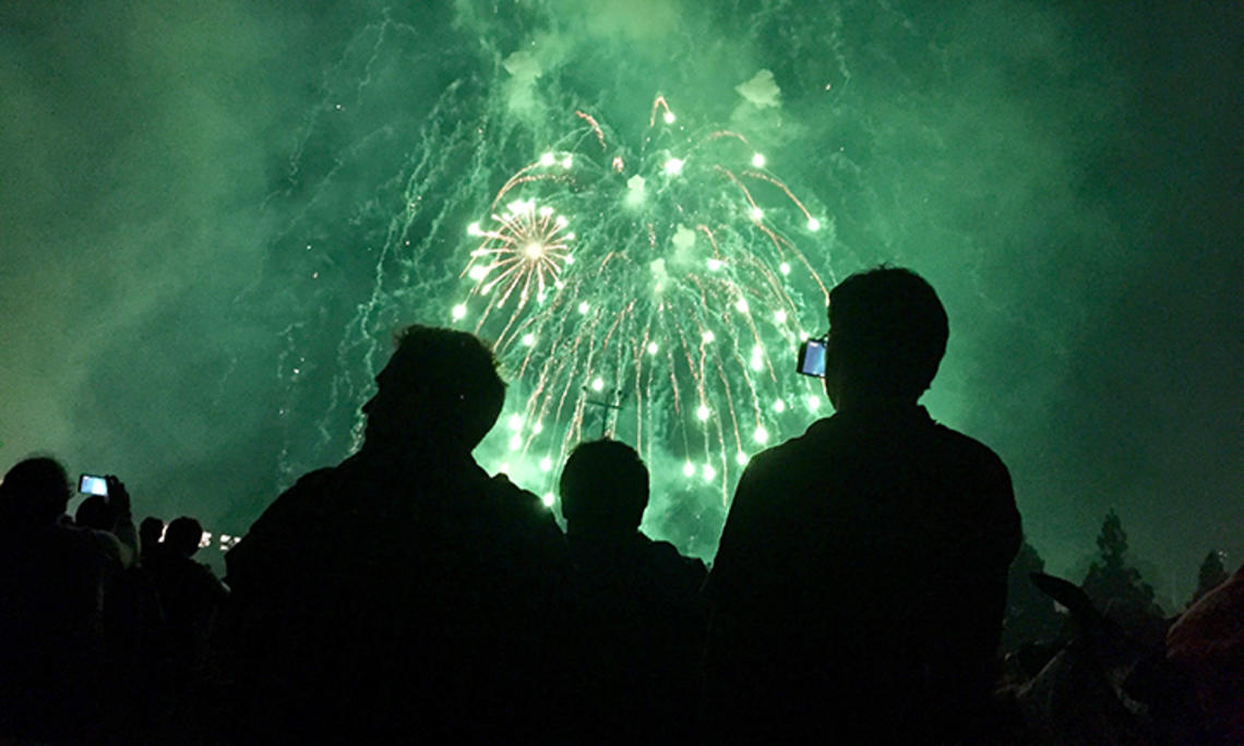 A crowd watches green fireworks.