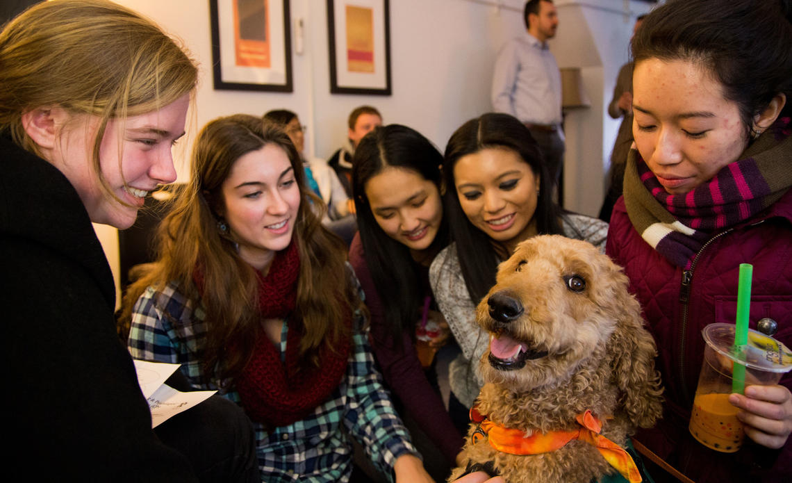 Five students cluster around a therapy labradoodle, who's wearing an orange bandana and looking at the camera.