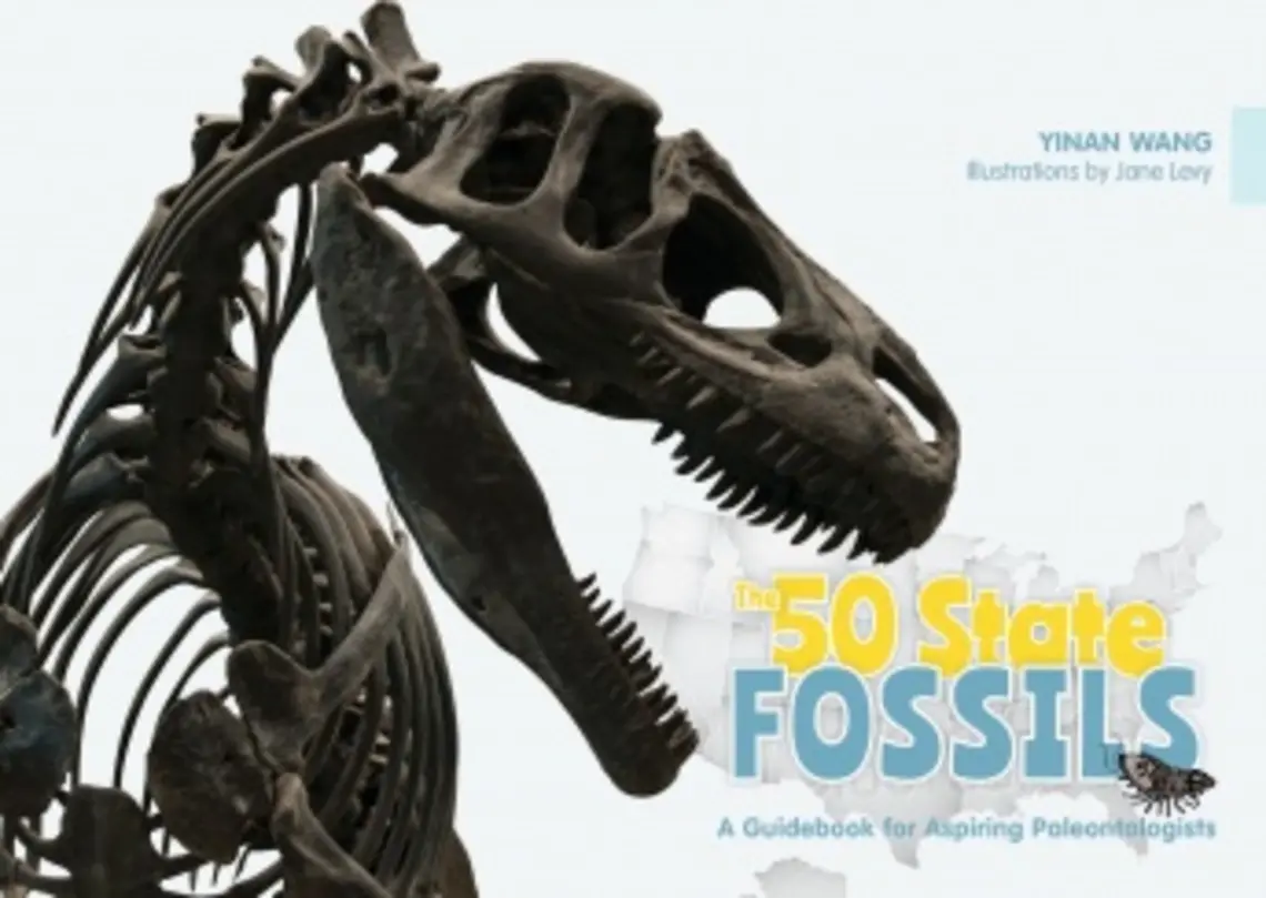 50stfossils.jpg