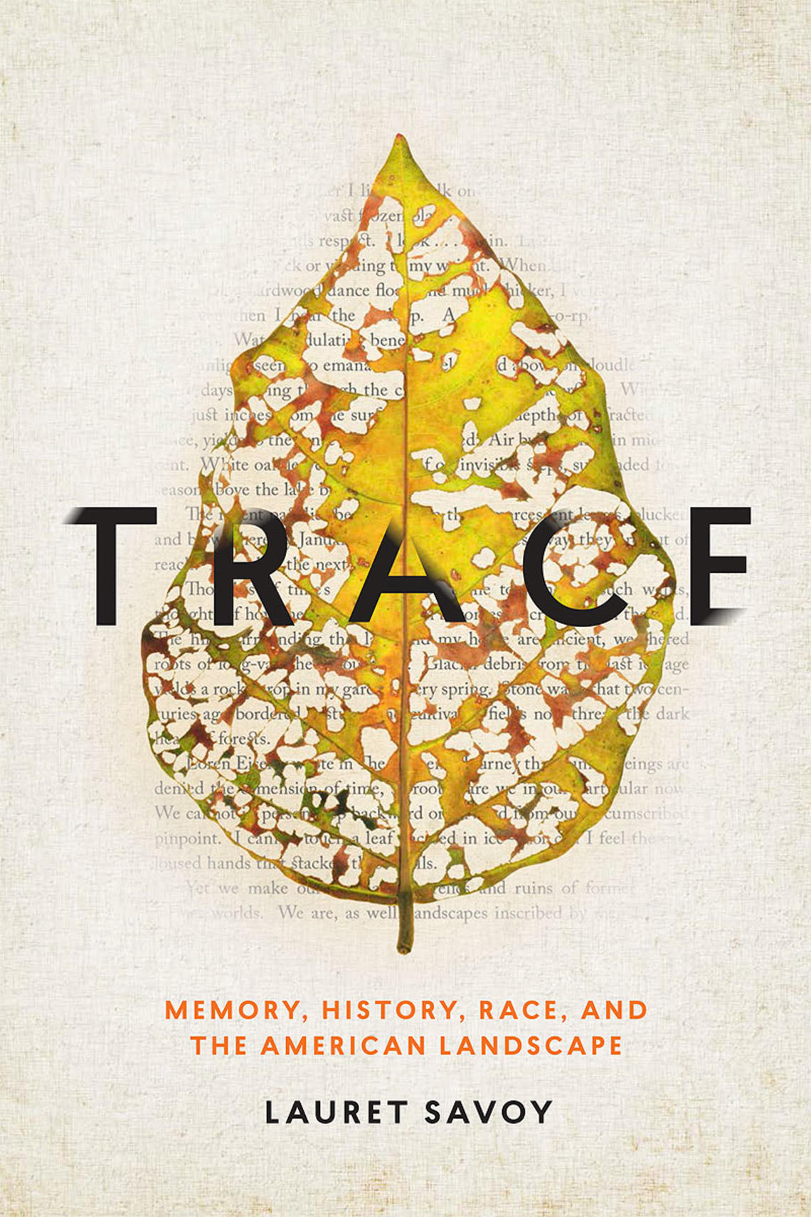 6trace.jpg