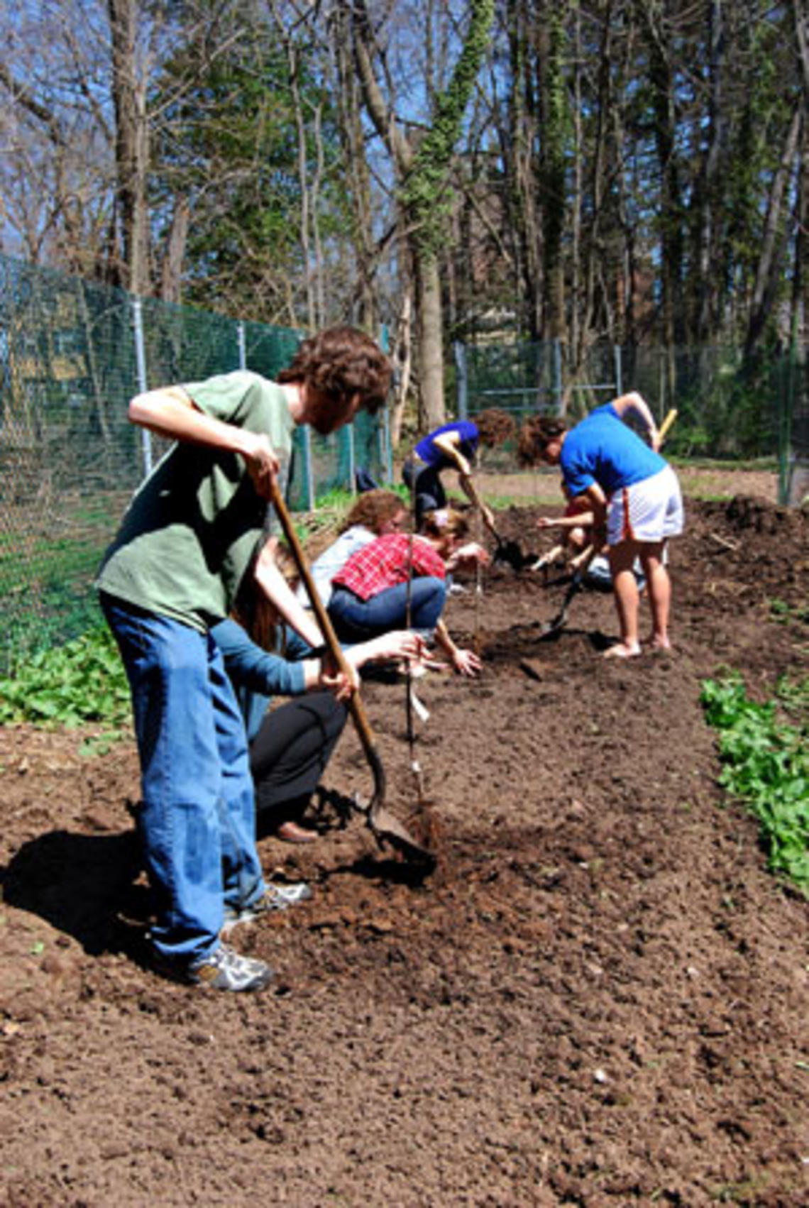 7178-garden_workday-thumb-300x448-7177.jpg