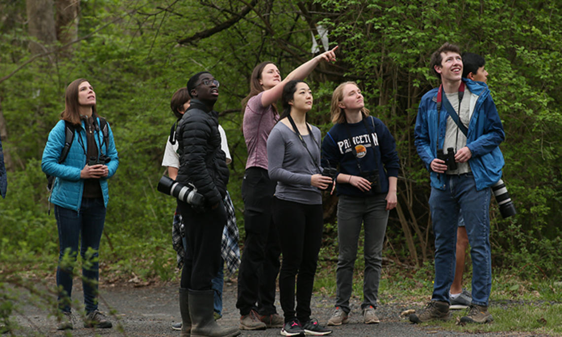Birding_group.jpg Seven students and one professor are in the woods, looking up into the trees. Several hold binoculars and cameras.
