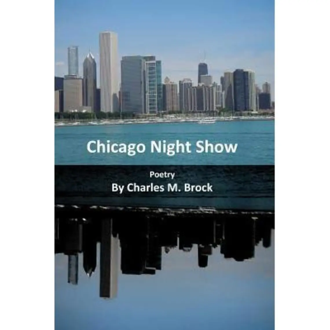 Chicago Night Show.jpg