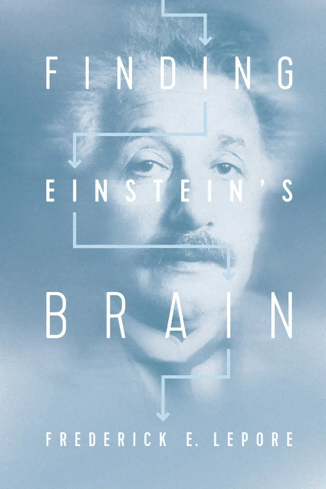 Einstein's brain.jpg