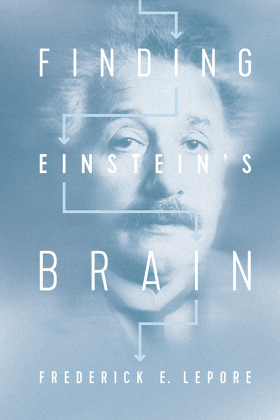 Einstein's brain.jpg