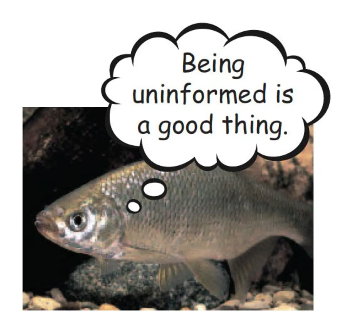 Fish.jpg