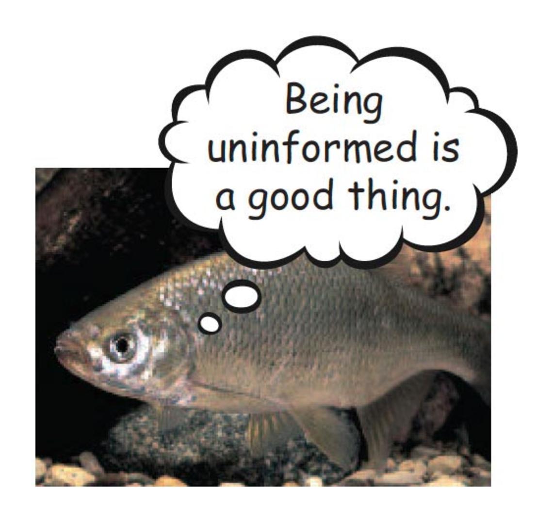 Fish.jpg