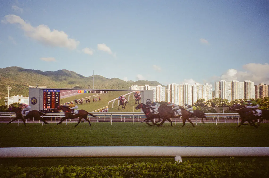 HongKongHorses.jpg