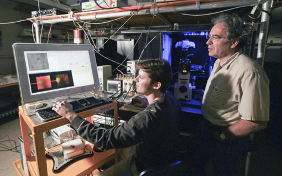 Physics professor Robert Austin, right, and graduate ­student Guillaume Lambert observe prostate cancer cells growing on chips of silicon and silicon-based plastic.