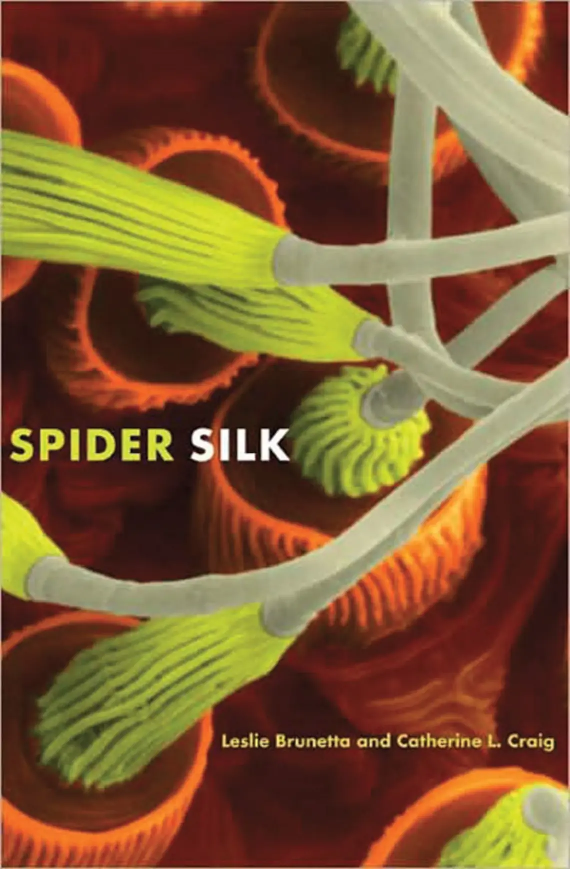 LIVE.Release_Spider.jpg