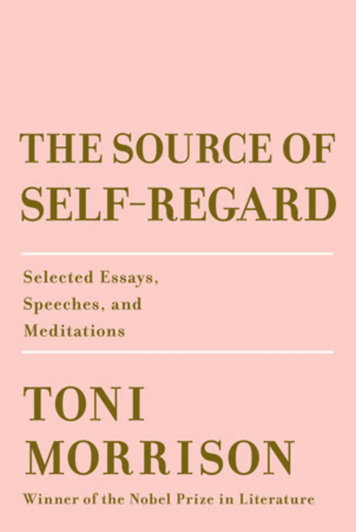 Morrison_Book Cover.jpg