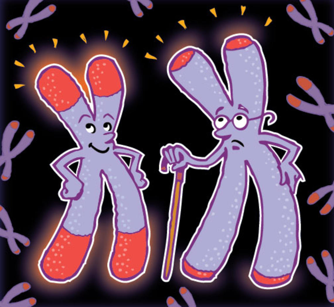 NB-BG-telomeres.jpg NB-BG-telomeres.jpg