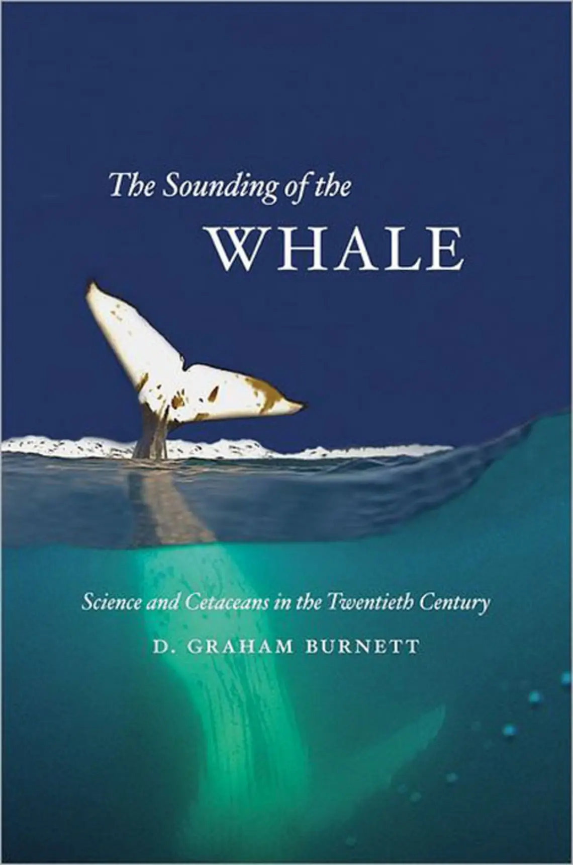 NB_FacBkWhale.jpg