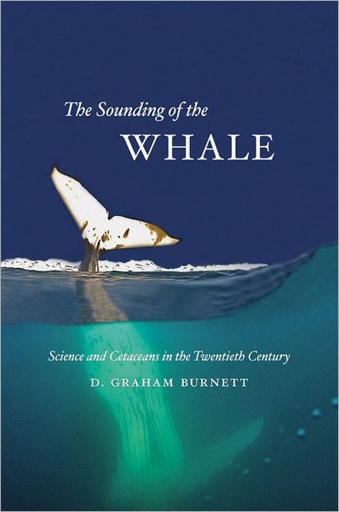 NB_FacBkWhale.jpg NB_FacBkWhale.jpg