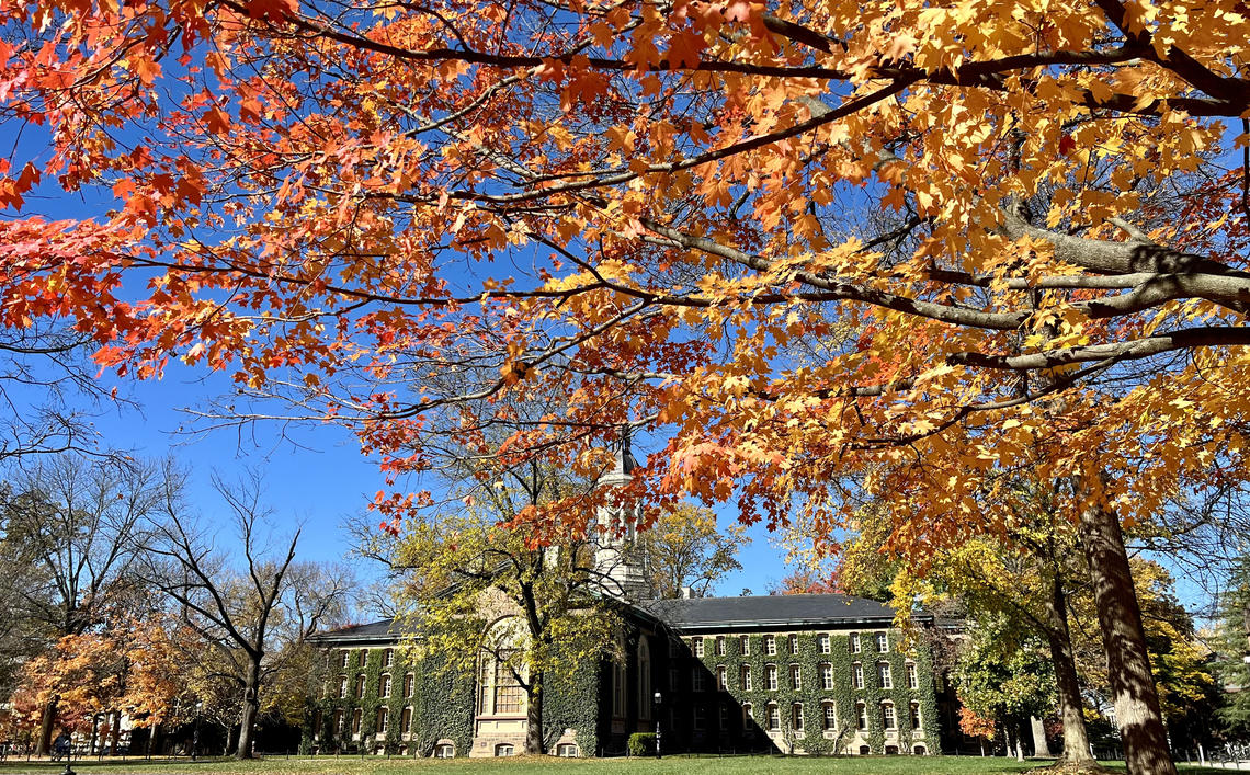 The back of Nassau Hall with tree branches with fall leaves in the foreground.