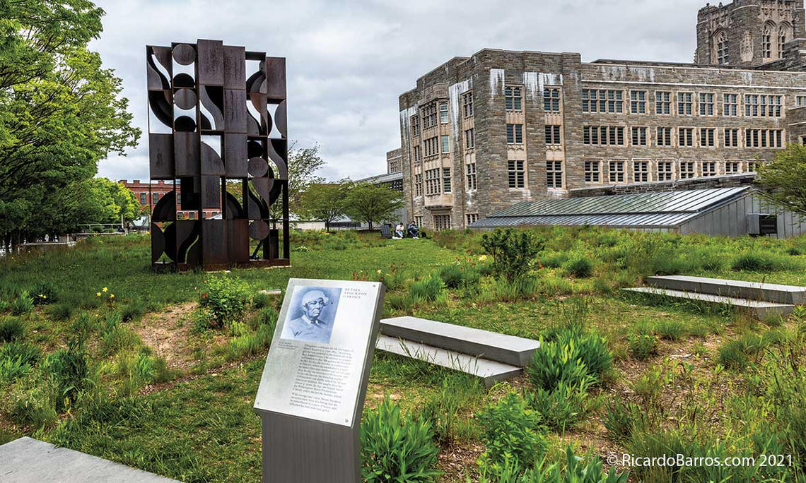 OTC_BetsyStocktonGarden.jpg