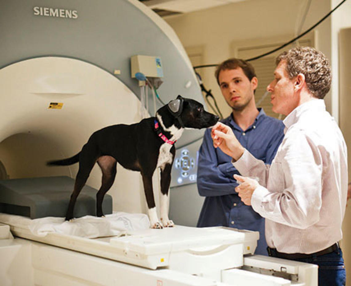 Gregory Berns ’86, right, a professor at Emory University, with his dog, Callie, who was trained to sit in an MRI scanner, and postdoctoral fellow Andrew Brooks.