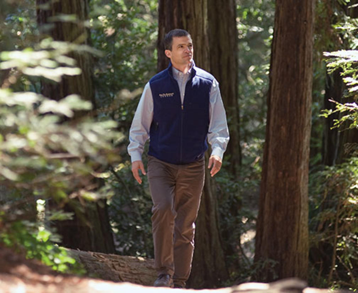 Redwoods are “exemplars of resilience, patience, and forgiveness,” says Sam Hodder ’91, head of the San Francisco-based Save the Redwoods League.