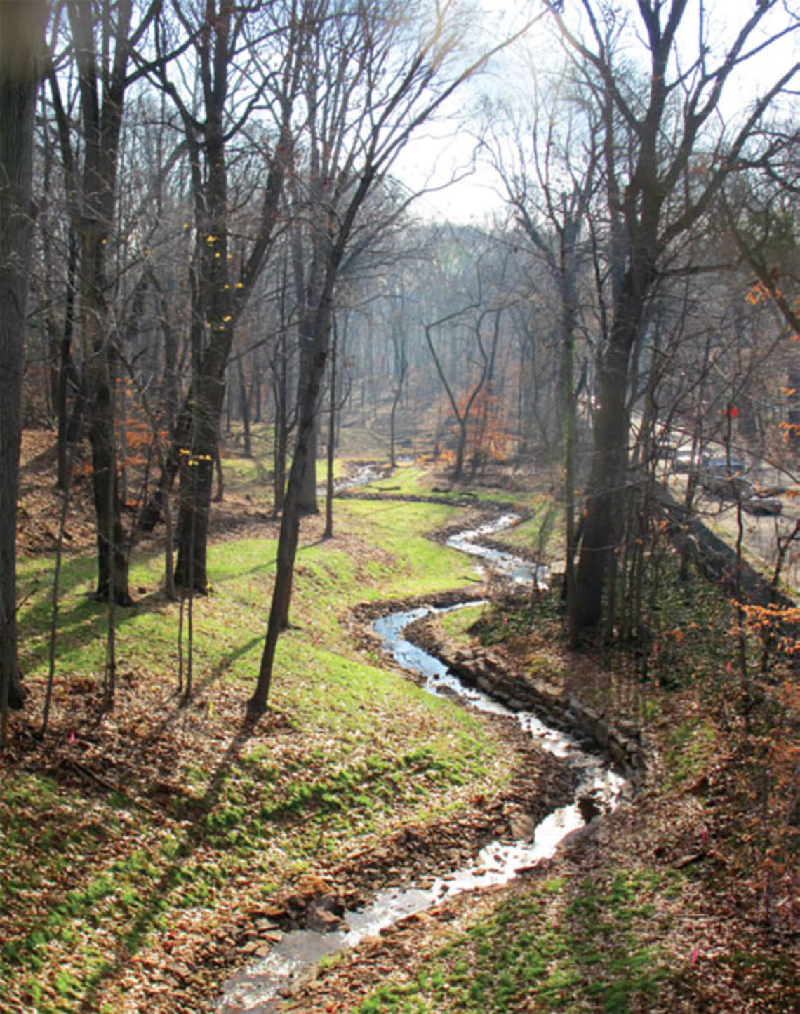 One of Princeton’s natural treasures, a stream to the east of Washington Road, has recently been restored.