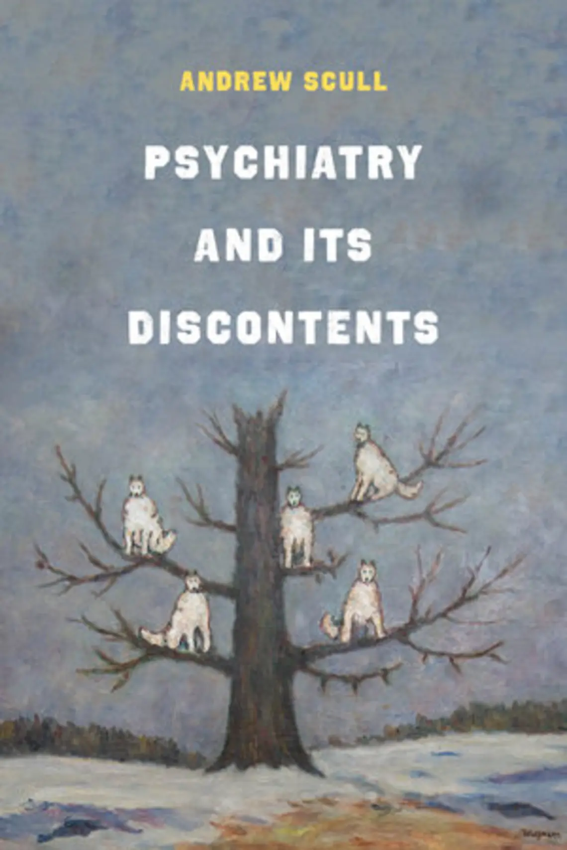 Psychiatry and its Discontents.jpg