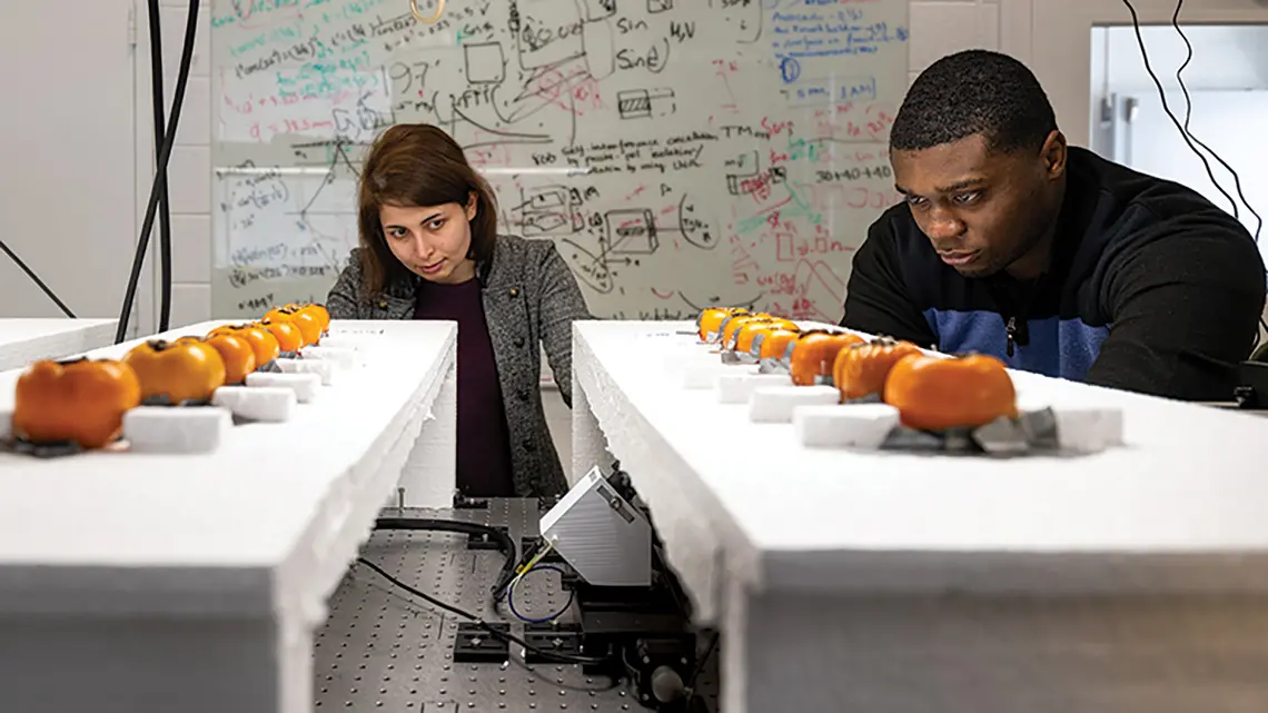 RESEARCH_AgriTera Ghasempour lab_03.jpg Yasaman Ghasempour, left, and graduate student Atsutse Kludze in the lab