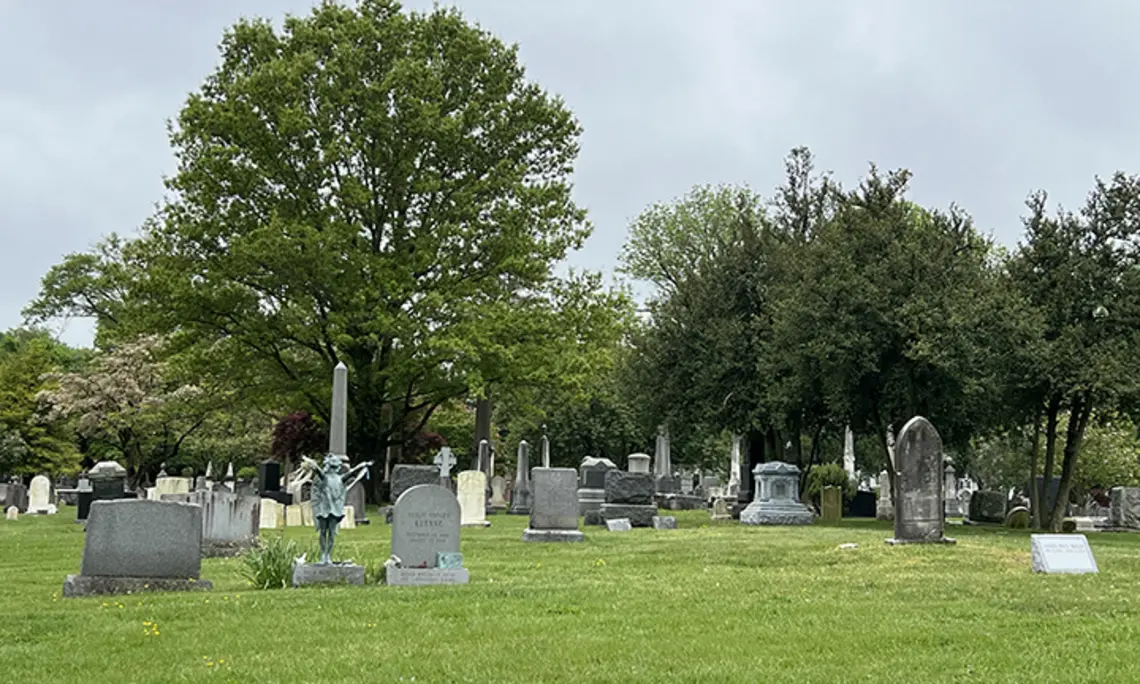 Rally.jpg A cemetery with trees in the background.