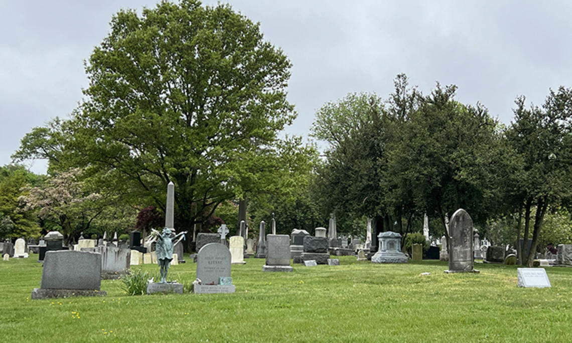 A cemetery with trees in the background.