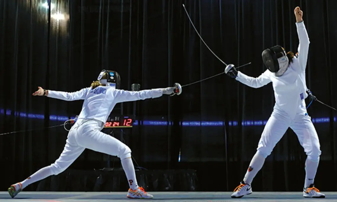 SP-fencing.jpg