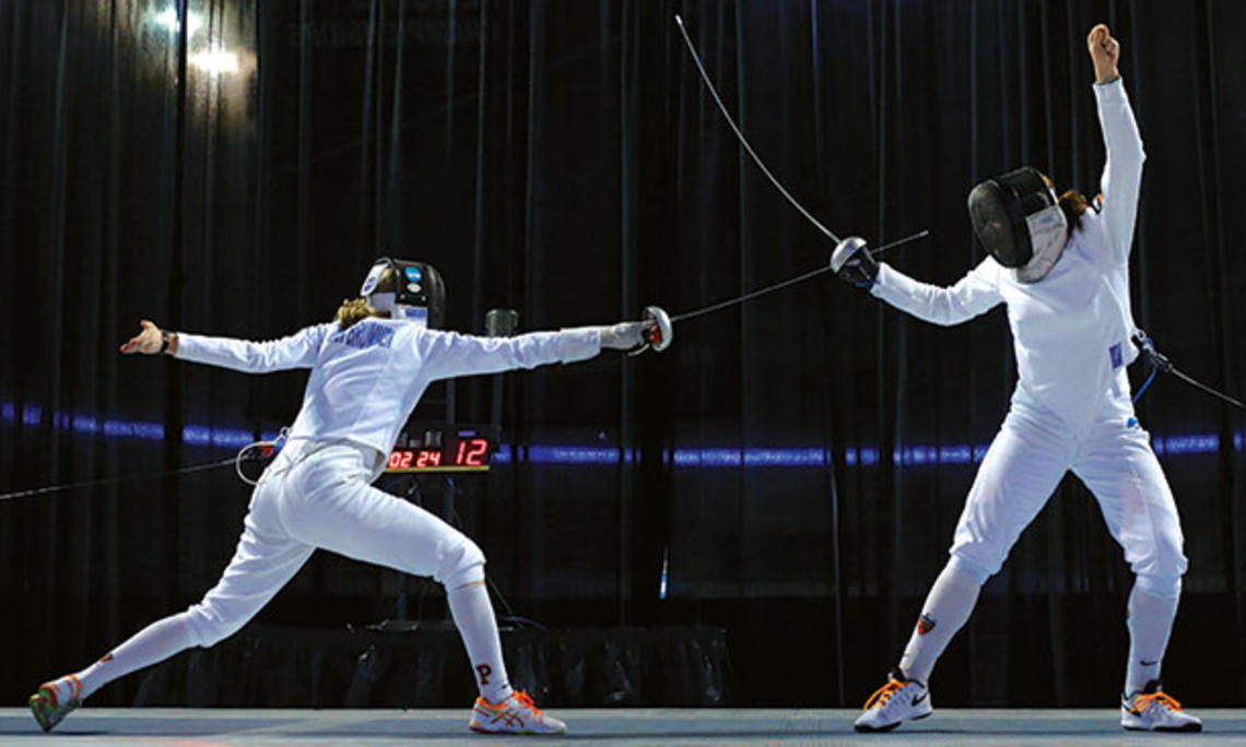 SP-fencing.jpg