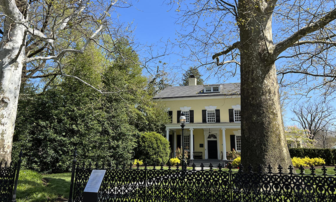 Sycamores.jpg This is a photo of the yellow Maclean house on Princeton's campus, with two large sycamore trees and a wrought iron fence in front.
