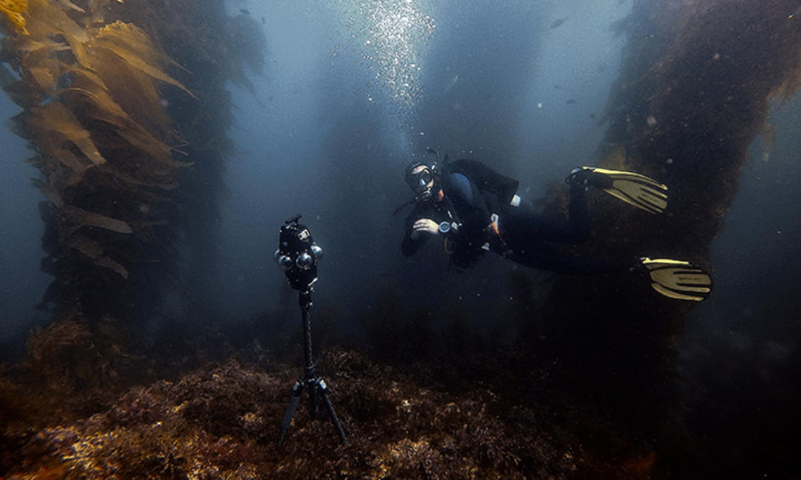 Mark Davidson *08 scuba diving and filming using the Insta360 Pro 2 and Mantis Sub underwater housing.