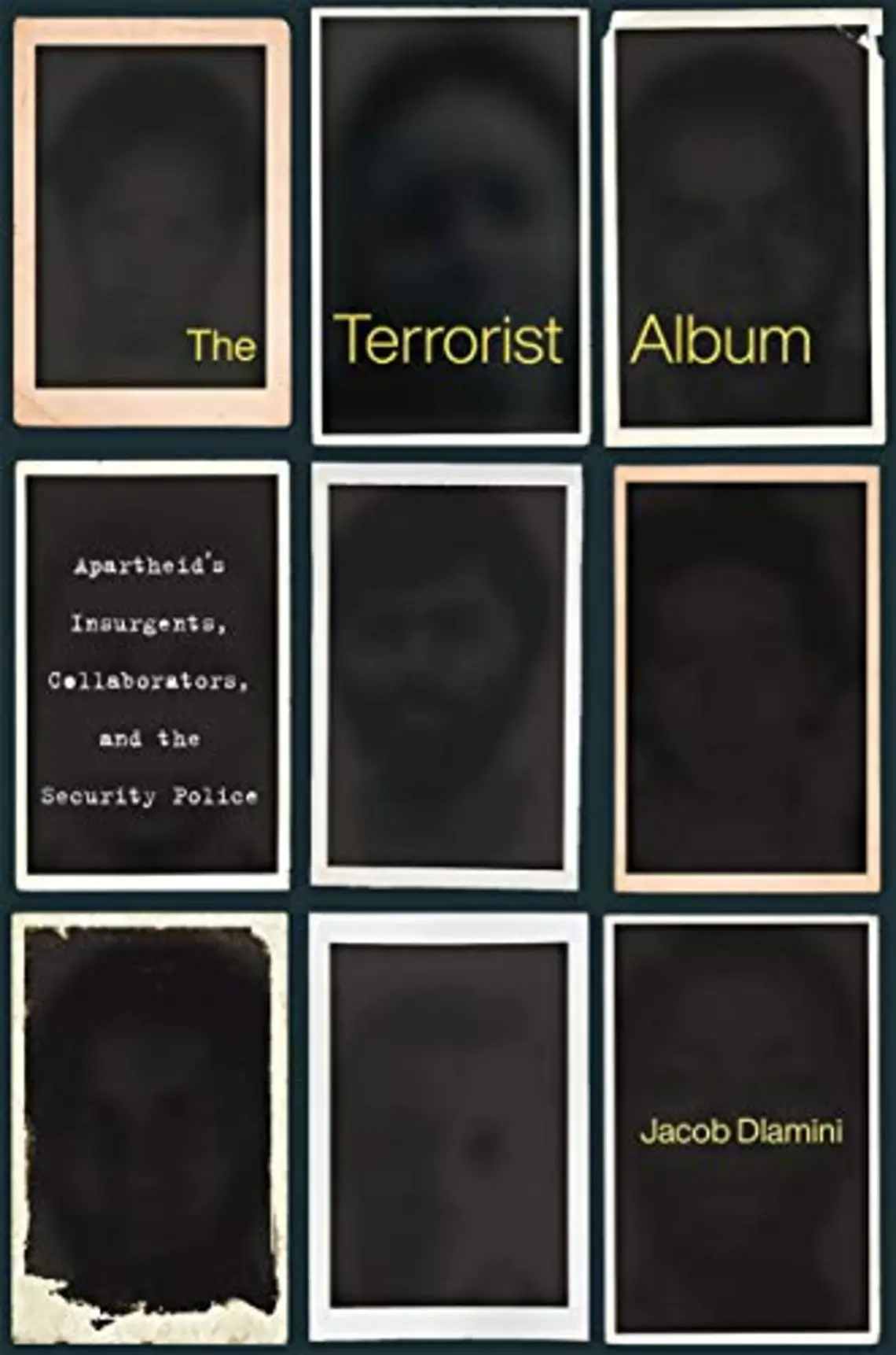 The Terrorist Album.jpg