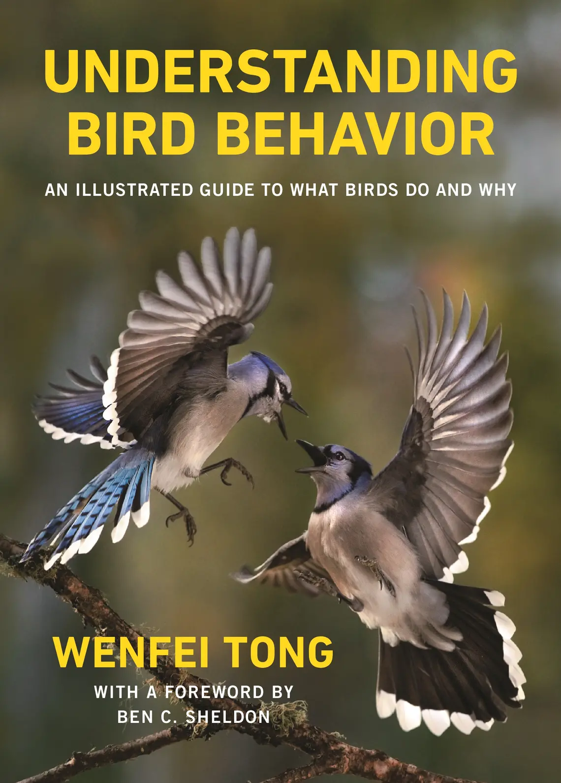 Understanding bird behavior.jpg