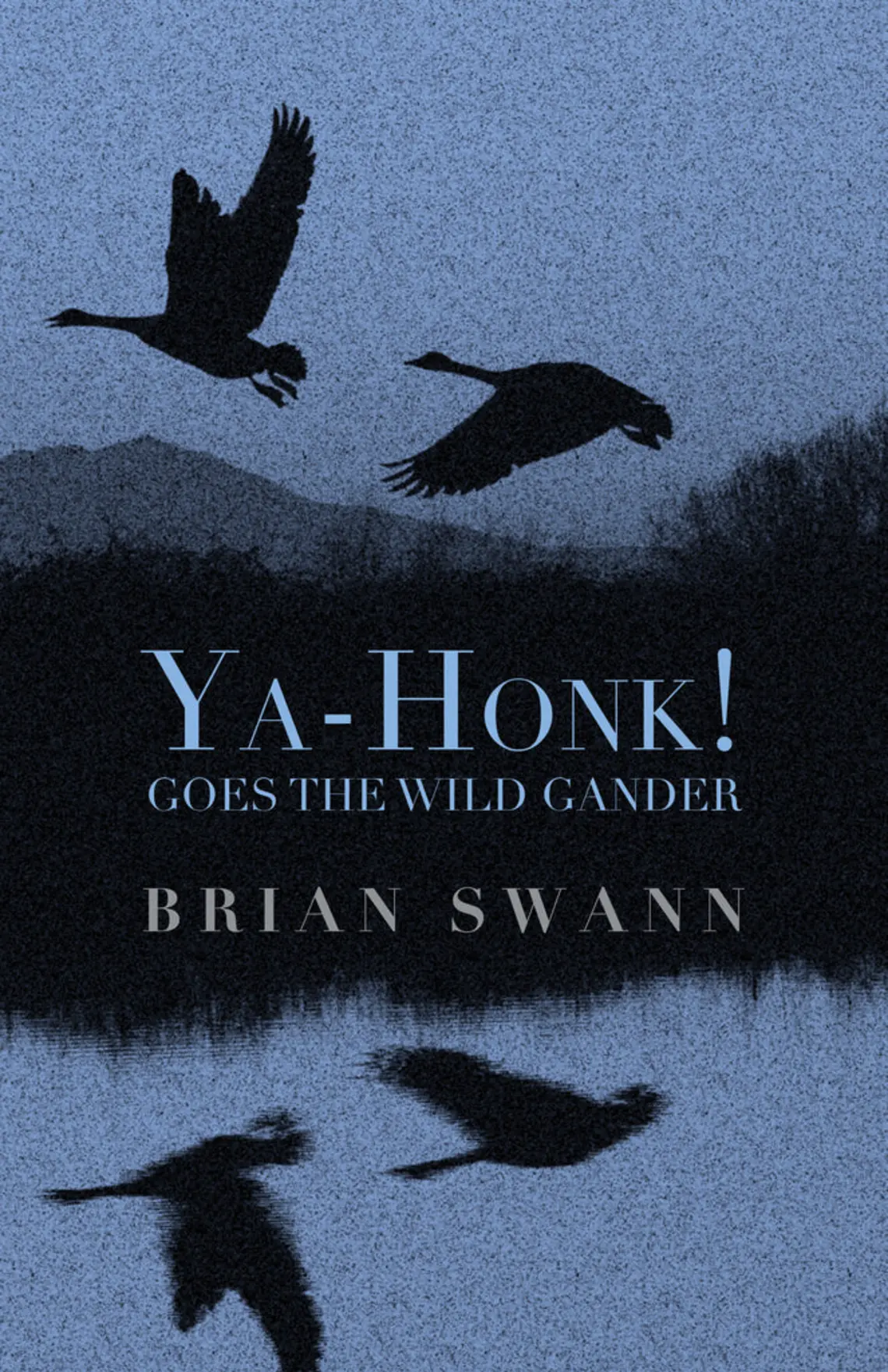Ya-Honk_1024x1024.jpg