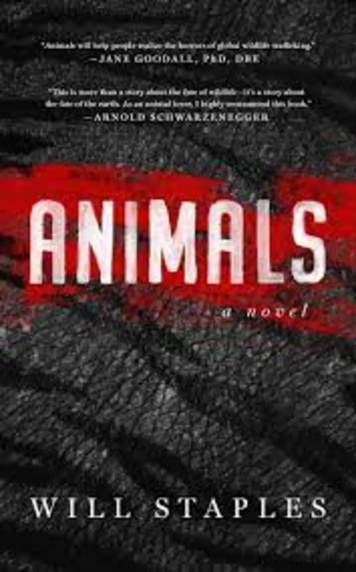 animals.jpeg