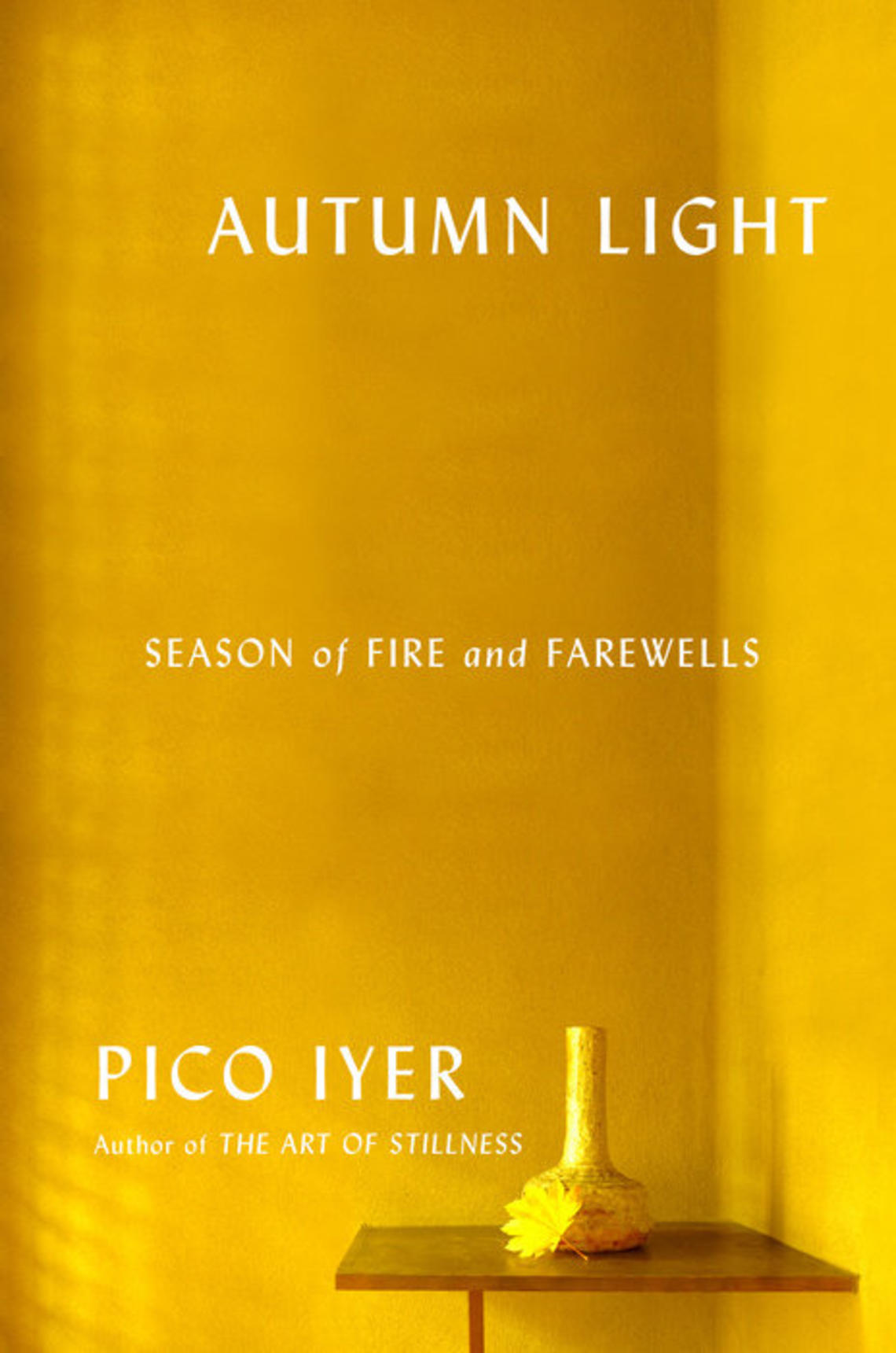 autumnlight.jpeg