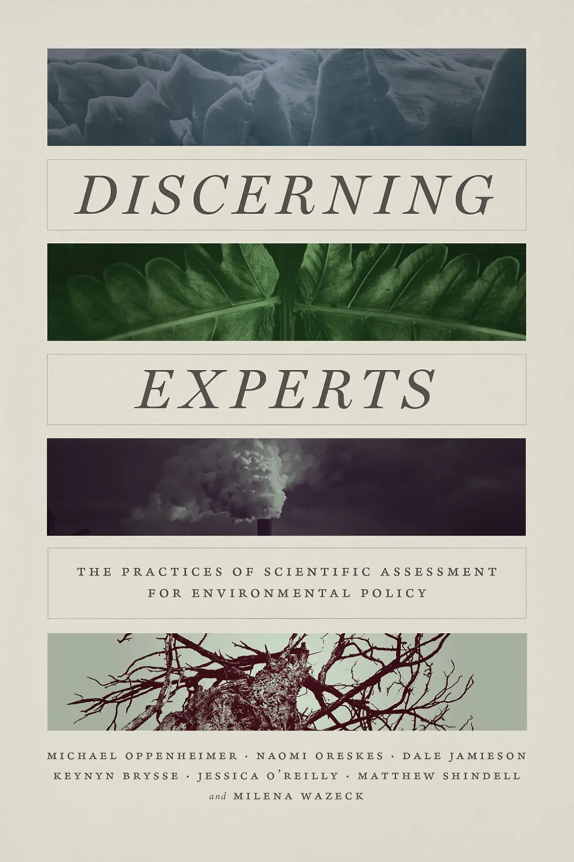 discerningexperts.jpg