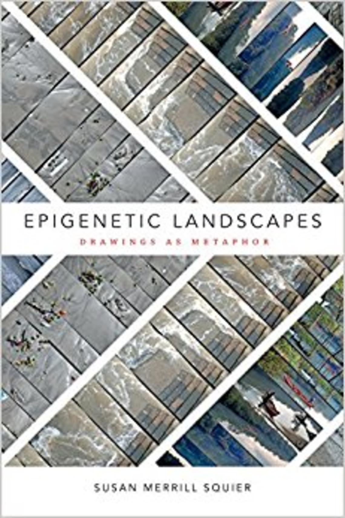 epigenetic landscapes.jpg