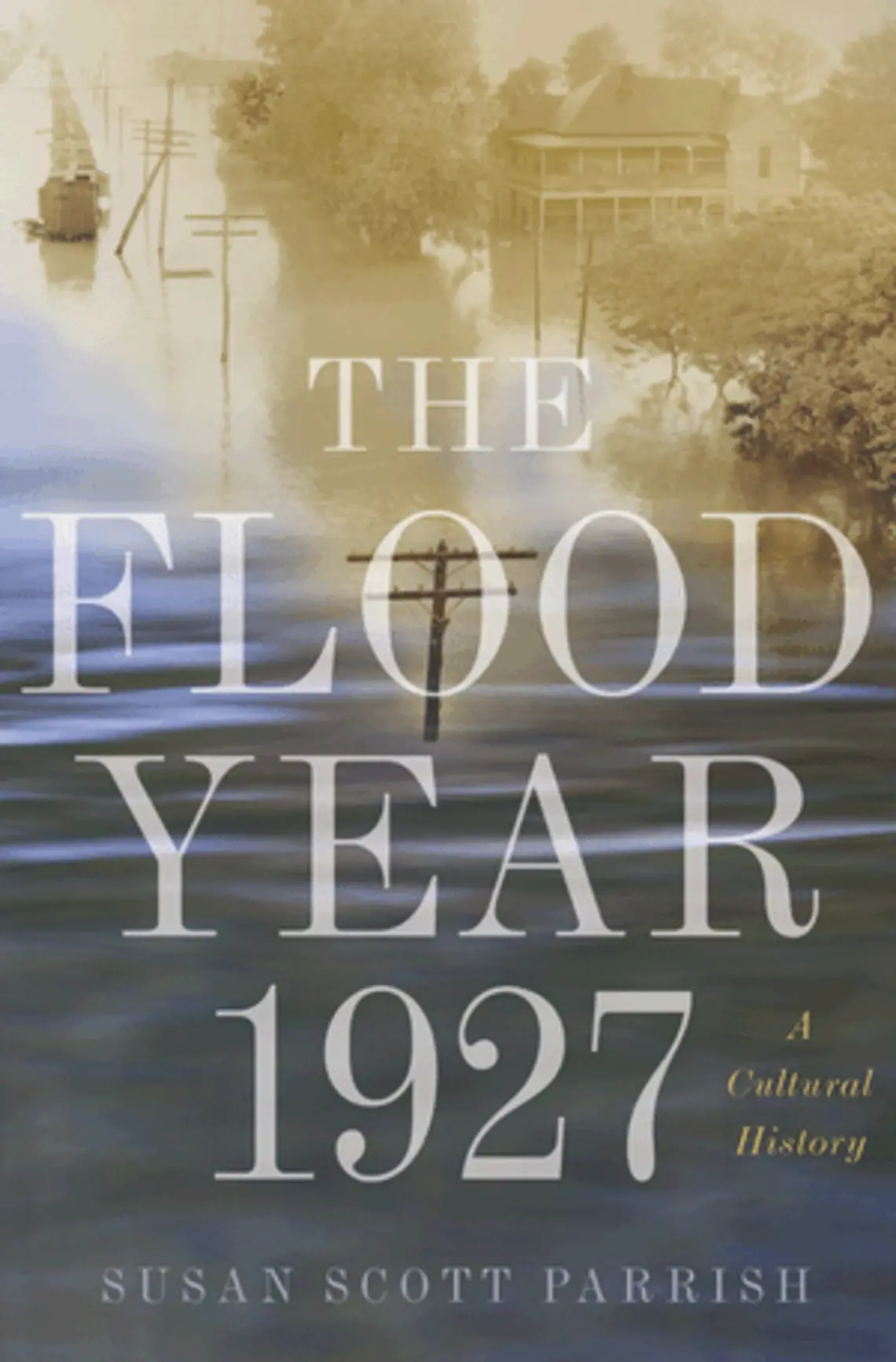 flood year.gif