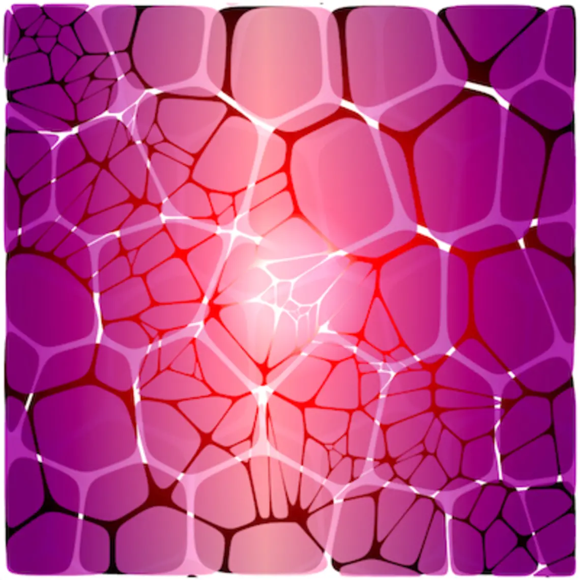 ingMob_Marrow_Cover_compress.jpg