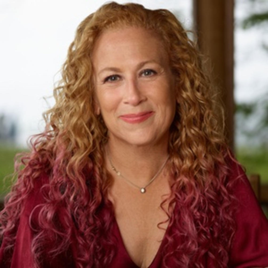 This is a headshot photo of Jodi Picoult.