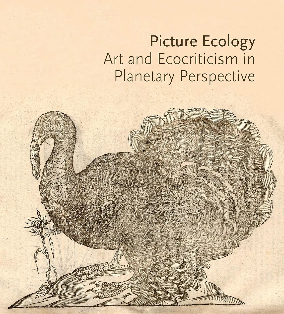 pic eco.jpg