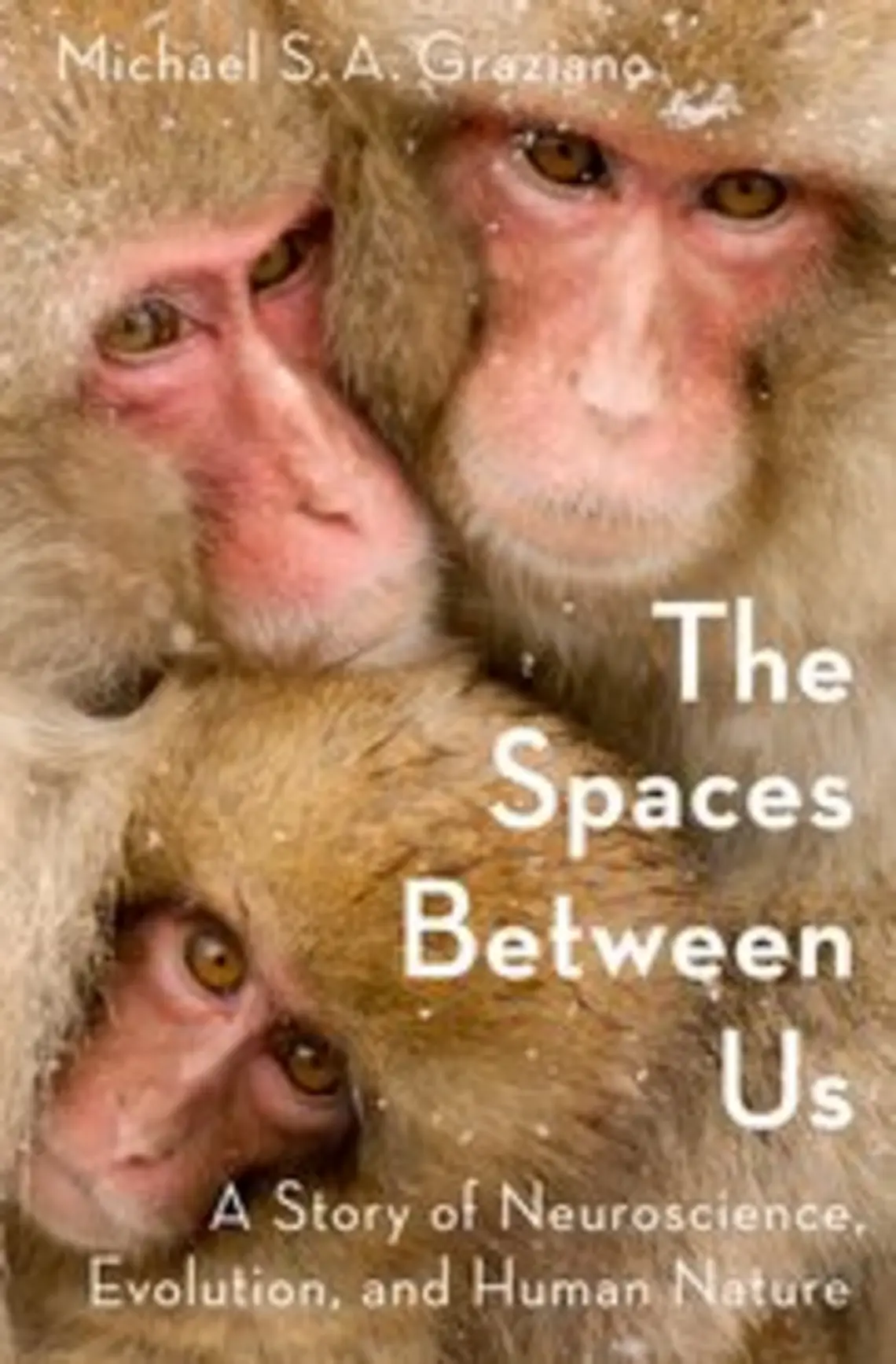 spaces between.jpg