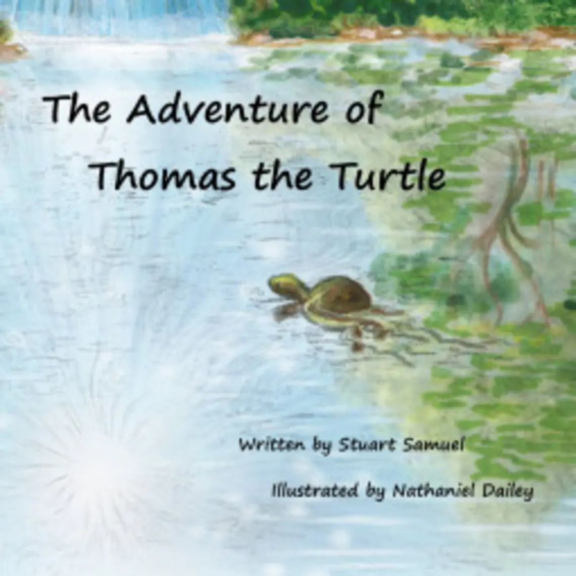 thomas the turtle.jpg