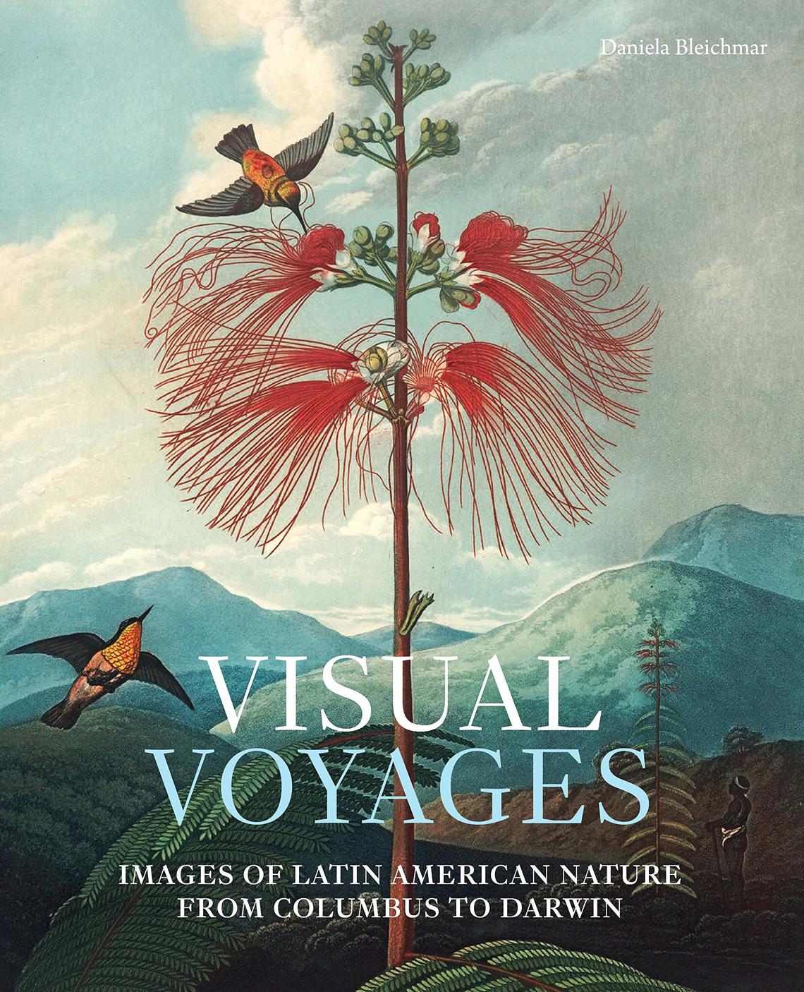 visual voyages.jpg