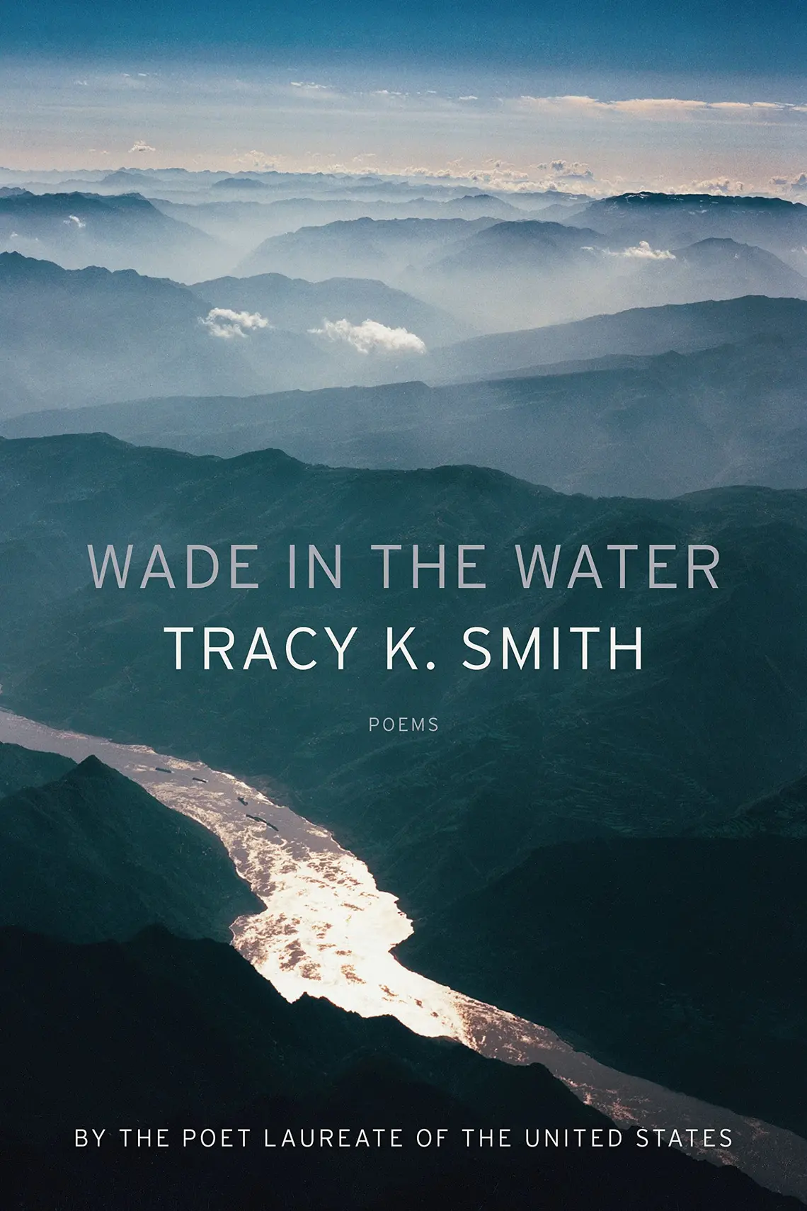 wade in the water.jpg