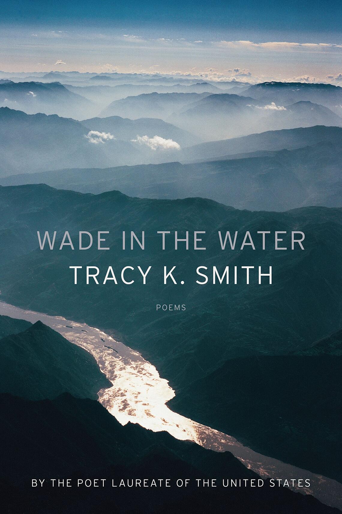 wade in the water.jpg