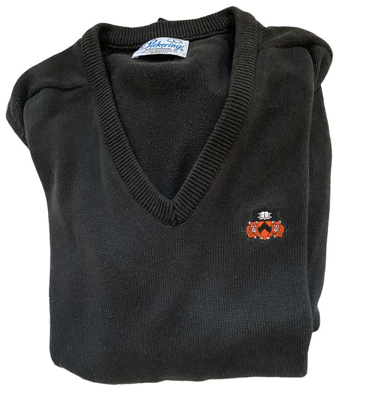 Princeton golf sweater