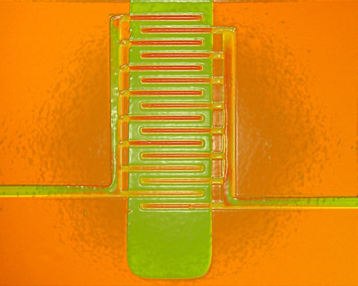 Compared to metals, plastics that conduct electricity are lightweight, easily processed, flexible, and inexpensive. Pictured here is a transistor whose plastic interdigitated (interlocking) electrodes replace expensive metals; this same material can be us