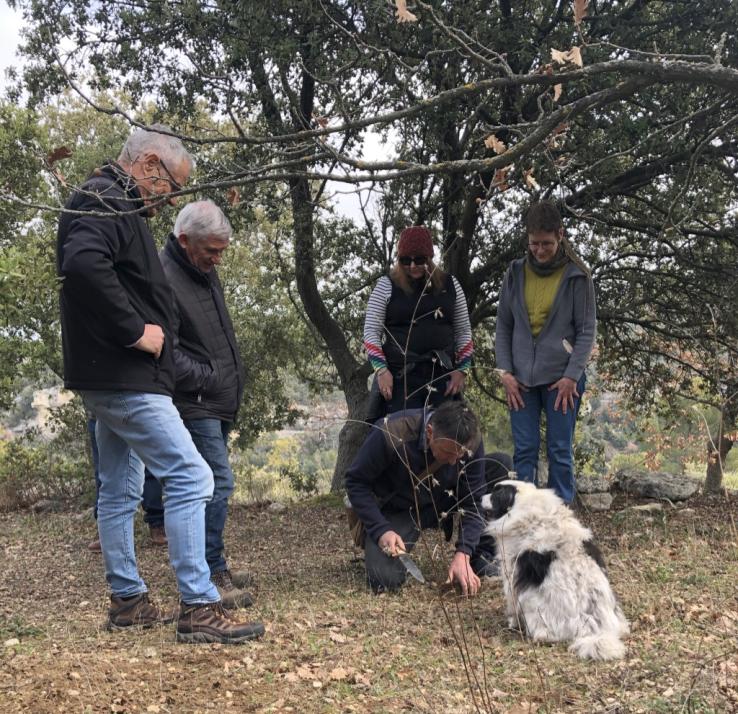 This is a photo of four people in a wooded area watching a fifth person dig up truffles.